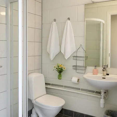Guest house Rongastovo 2*